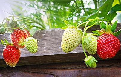 Epic圣诞特卖活动开启 许多大作迎来超低优惠价